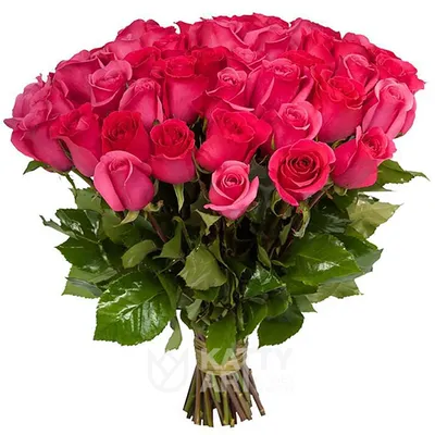 Красота розовых роз: выбор доступных форматов загрузки