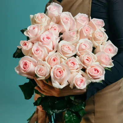 Соблазнительные розы: фотографии в формате jpg