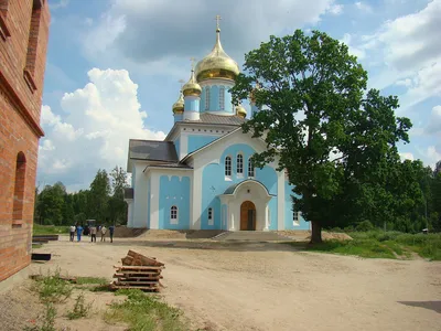 Фотографии Никандровой пустыни: великолепие природы