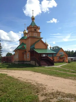 Фотографии Никандровой пустыни: встреча с дикой природой