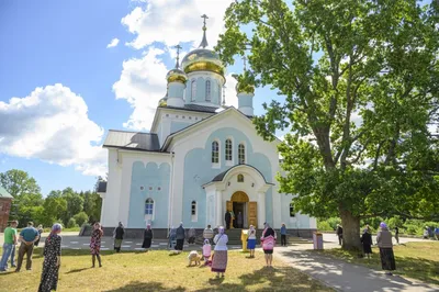 Откройте для себя Никандрову пустыню через фотографии