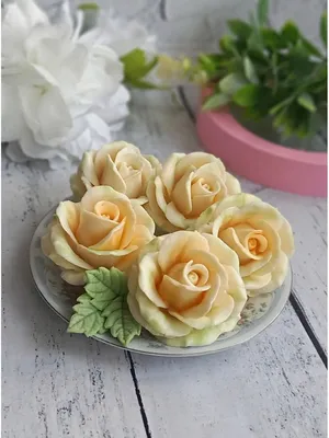 Фотка розы Николь для загрузки