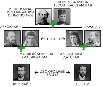 Фото Николая 2 Медведева: скачать бесплатно