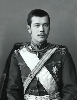 Николай 2 Медведев: качественная картинка для использования