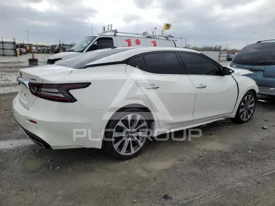 Новые фотографии Nissan Maxima 2023