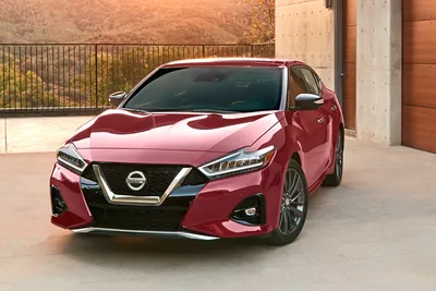 Скачать картинку Nissan Maxima 2023 в HD качестве