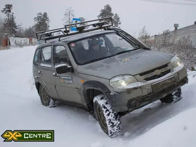 Фотографии Нивы тундры: впечатляющие снимки в северной дикой природе