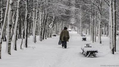 Снежные краски: Фотографии зимнего Нижневартовска