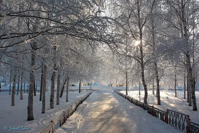 Снежные узоры: Фотографии зимнего Нижневартовска