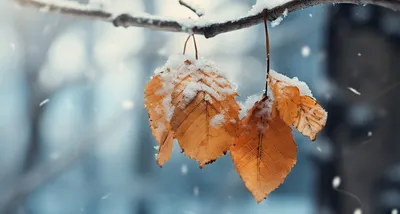 Зимний фотоэкспресс: Изображения Нижневартовска