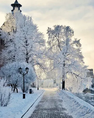 Фризовые моменты: Зимние фотографии Нижнего Новгорода