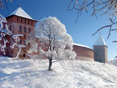 Морозные узоры: Фотографии Нижнего Новгорода в холодные дни