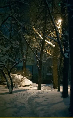 Зимнее волшебство: Ночные краски холодной природы