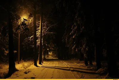 Сверкающие снежинки: Зимние фотографии для любителей холода