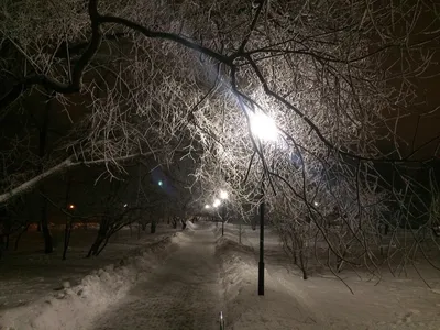Ночной зимний калейдоскоп: Фото, чтобы проникнуться атмосферой