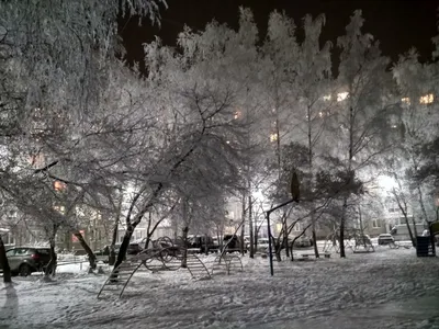 Зимний мрак в изображениях: Фотографии в различных вариациях