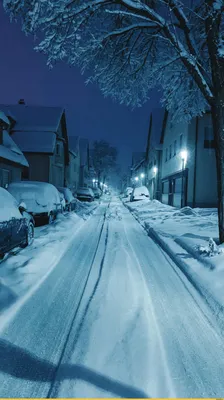 Зимний вечер в художественном свете: Фотографии для скачивания