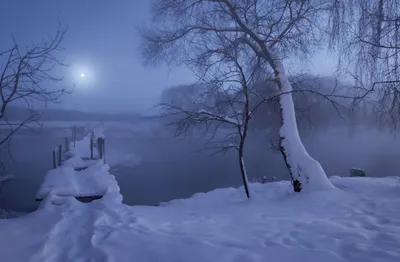 Загадочная ночь зимы: Фото, которые заставят вас мечтать