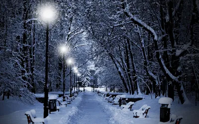 Зимнее волшебство: Фото Ночной зимы в различных форматах
