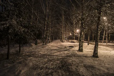 Замороженная красота: Фотографии зимней ночи для скачивания