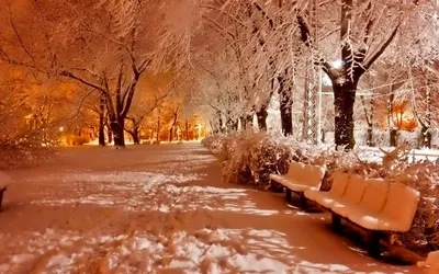Завораживающая зимняя ночь: Фотографии в высоком разрешении