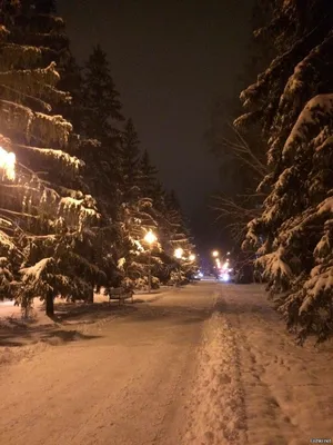 Снежные моменты: Картинки Ночной зимы для любого вкуса