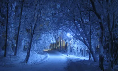 Зимний вечер во всей красе: Фото в различных форматах