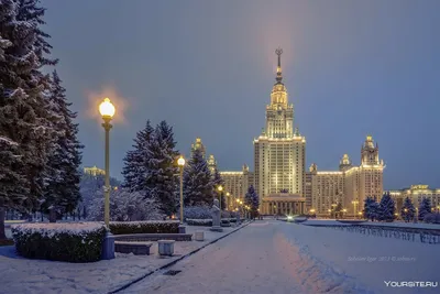 Зимний Поцелуй: Фотоночи в Московских Парках