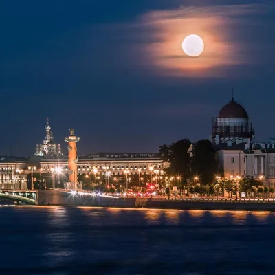 Фотоальбом Зимнего Волшебства: Ночной Питер