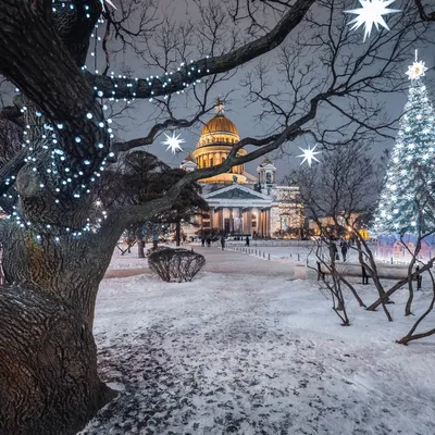 Нева в Зимнем Сиянии: Фото Ночного Петербурга