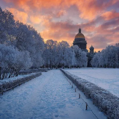 Арктическая Гармония: Фотографии Зимнего Петербурга