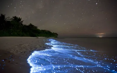 Фото ночного пляжа в формате HD