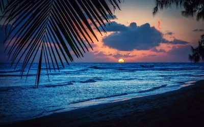Отдохните глаза на фотографиях ночного пляжа
