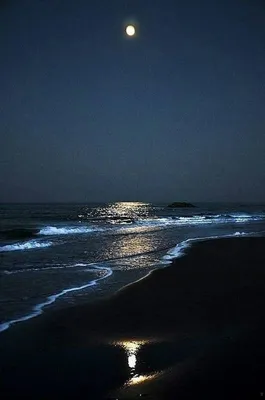Фотографии, которые заставят вас мечтать о ночном пляже