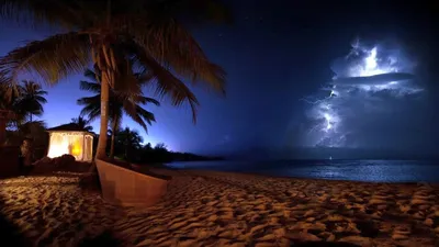 Фотографии, показывающие ночной пляж во всей его великолепности