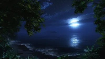 Фотографии, показывающие ночной пляж во всей его красе