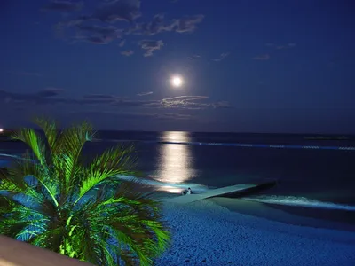Отдохните душой на фотографиях ночного пляжа