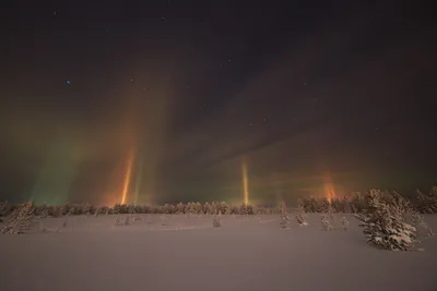 Фотосессия зимнего Ноябрьска: загрузи идеальное изображение