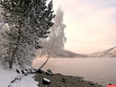 Листья в огне: Очарование ноябрьского пейзажа на фото