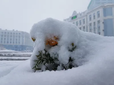 Фото зимнего Норильска: Великолепие холодных дней