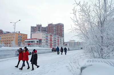 Зимние мгновения в Норильске: Фотографии природы