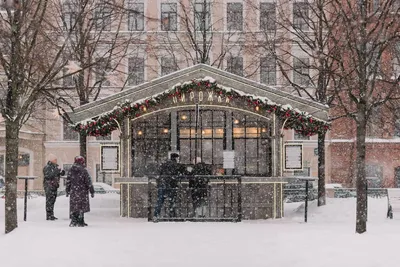 Зимняя атмосфера Новой Голландии