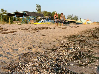 Фотогалерея Новой Ялты: Азовское море и его окрестности