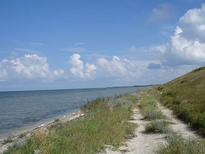 Фотоистория Новой Ялты и ее связь с живописным Азовским морем.