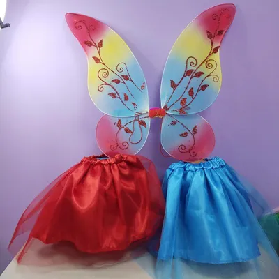 Фото, изображающее новогодний костюм бабочки