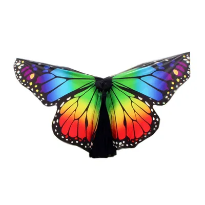 Новогодний костюм бабочки: Фотография, JPG