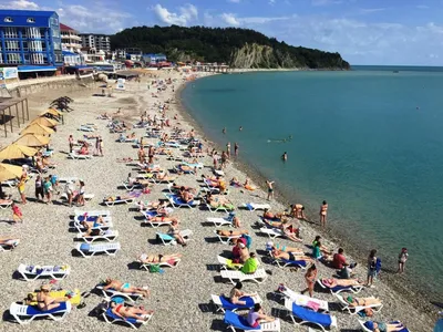 Фотографии Новомихайловского пляжа: встреча с морской природой