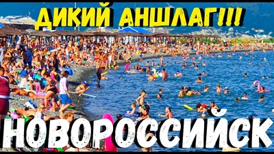 Пляж алексино в Новороссийске: фотографии, которые переносят вас на морской берег