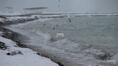 Изысканные зимние моменты в Новороссийске: Выберите формат WebP для скачивания