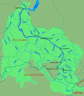 Красота в деталях: фото Новосибирской реки Обь